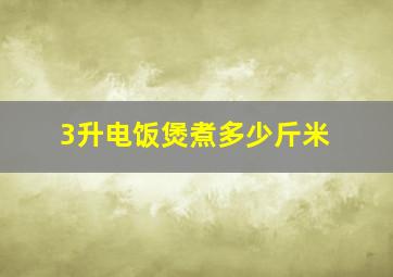 3升电饭煲煮多少斤米