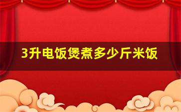 3升电饭煲煮多少斤米饭