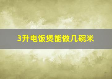 3升电饭煲能做几碗米