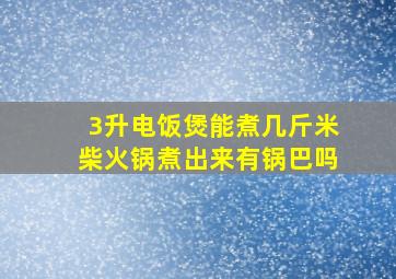 3升电饭煲能煮几斤米柴火锅煮出来有锅巴吗