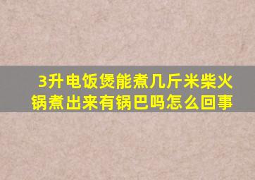 3升电饭煲能煮几斤米柴火锅煮出来有锅巴吗怎么回事