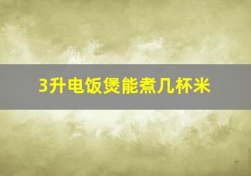 3升电饭煲能煮几杯米