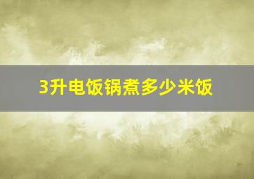 3升电饭锅煮多少米饭