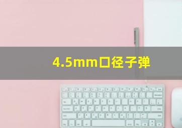 4.5mm口径子弹