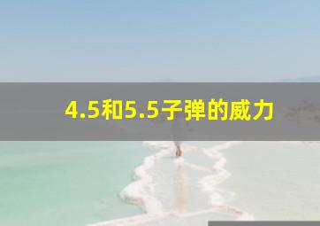 4.5和5.5子弹的威力