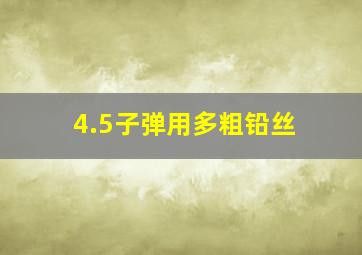 4.5子弹用多粗铅丝