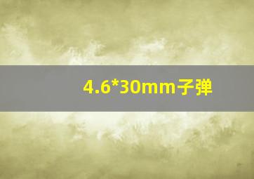 4.6*30mm子弹