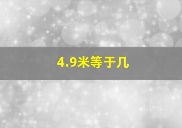 4.9米等于几