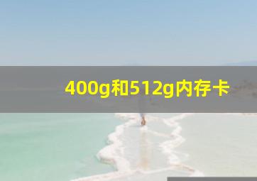 400g和512g内存卡