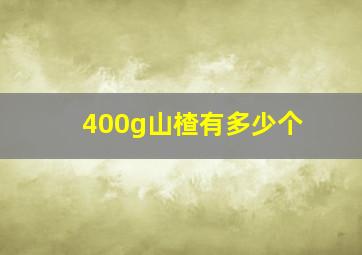 400g山楂有多少个