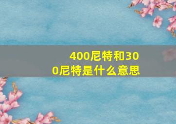 400尼特和300尼特是什么意思