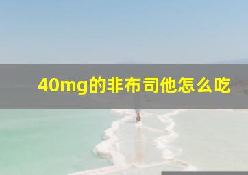 40mg的非布司他怎么吃