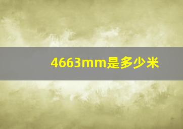 4663mm是多少米