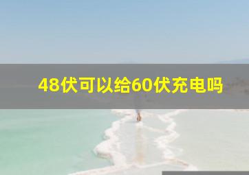 48伏可以给60伏充电吗