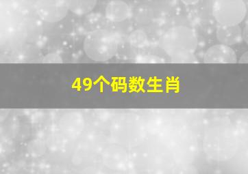 49个码数生肖