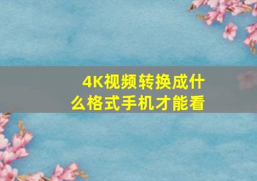 4K视频转换成什么格式手机才能看