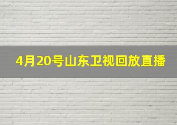 4月20号山东卫视回放直播