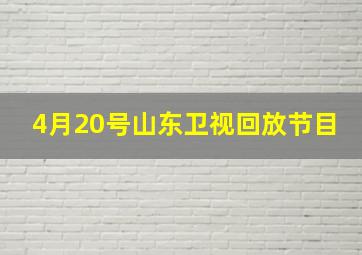 4月20号山东卫视回放节目