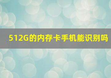 512G的内存卡手机能识别吗