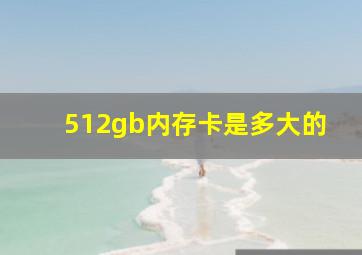 512gb内存卡是多大的