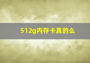 512g内存卡真的么