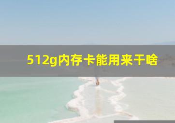 512g内存卡能用来干啥