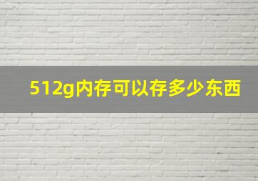 512g内存可以存多少东西