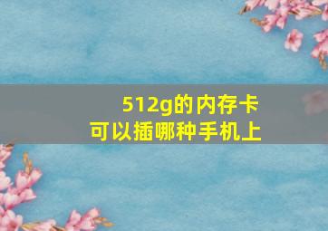 512g的内存卡可以插哪种手机上