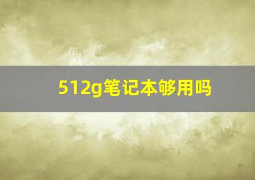 512g笔记本够用吗