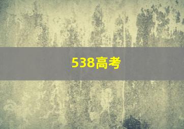 538高考