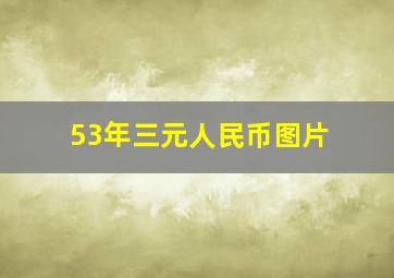 53年三元人民币图片