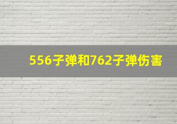 556子弹和762子弹伤害