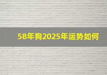 58年狗2025年运势如何