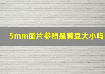 5mm图片参照是黄豆大小吗