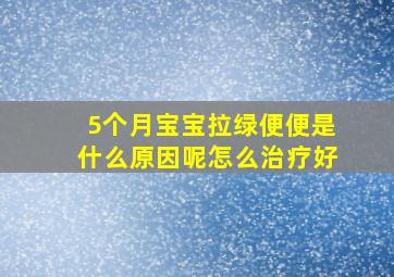 5个月宝宝拉绿便便是什么原因呢怎么治疗好