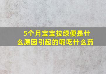 5个月宝宝拉绿便是什么原因引起的呢吃什么药