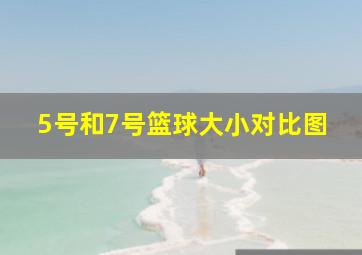 5号和7号篮球大小对比图