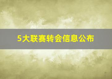 5大联赛转会信息公布