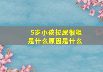 5岁小孩拉屎很粗是什么原因是什么