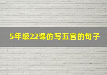 5年级22课仿写五官的句子