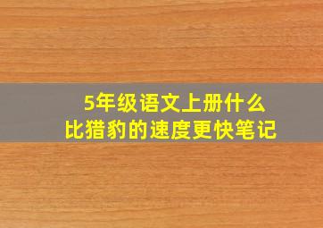 5年级语文上册什么比猎豹的速度更快笔记