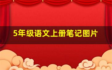 5年级语文上册笔记图片