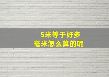 5米等于好多毫米怎么算的呢