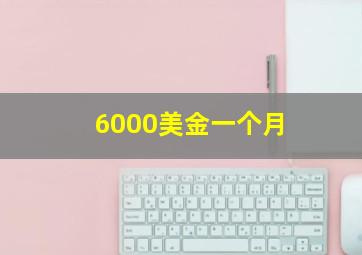 6000美金一个月