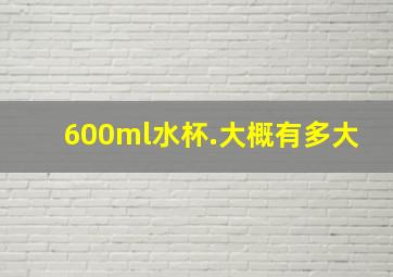 600ml水杯.大概有多大