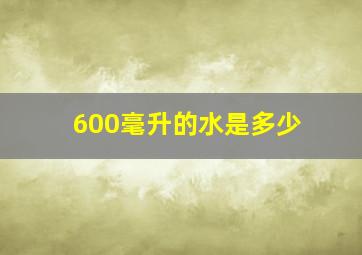 600毫升的水是多少