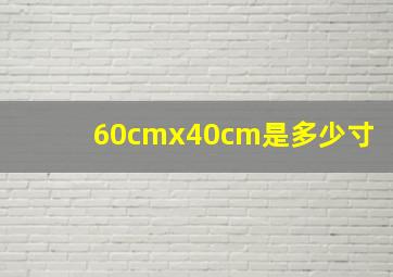 60cmx40cm是多少寸