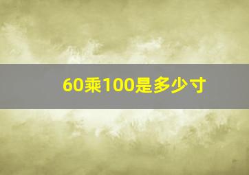 60乘100是多少寸