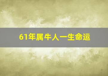 61年属牛人一生命运