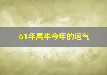 61年属牛今年的运气